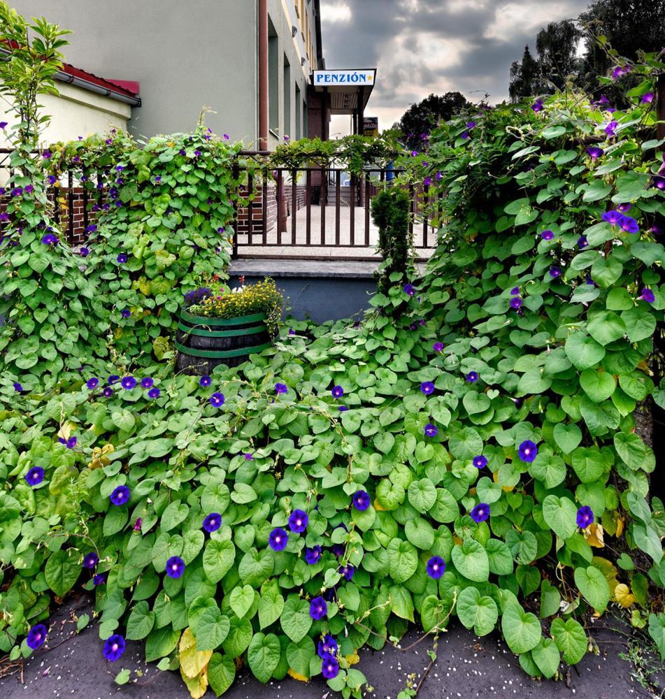 Penzion Central Hotel Zvolen Exterior photo